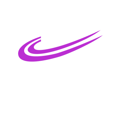 BIZINT Logo